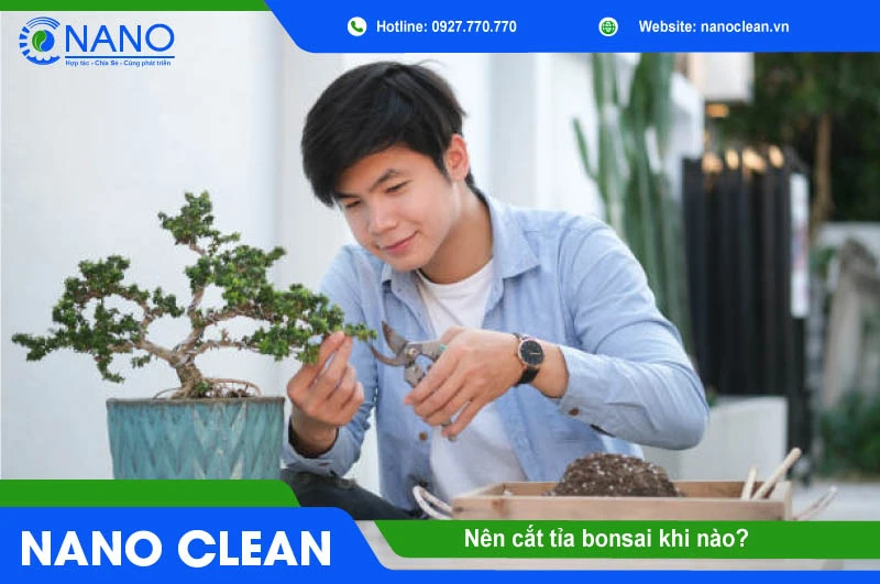 nen-cat-tia-bonsai-khi-nao-nano-clean
