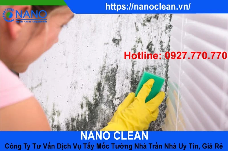 nano-clean-cong-ty-tu-van-dich-vu-tay-moc-tuong-nha-tran-nha-uy-tin